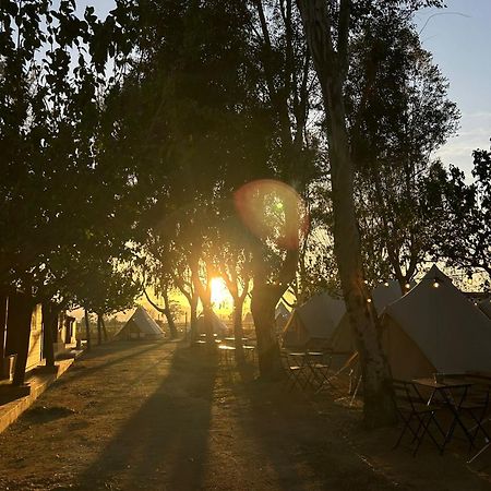 Camping Delta Natura La Tancada อัมโบสตา ภายนอก รูปภาพ