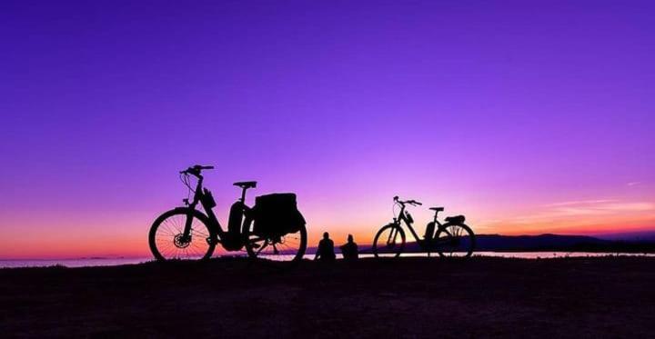 Camping Delta Natura La Tancada อัมโบสตา ภายนอก รูปภาพ