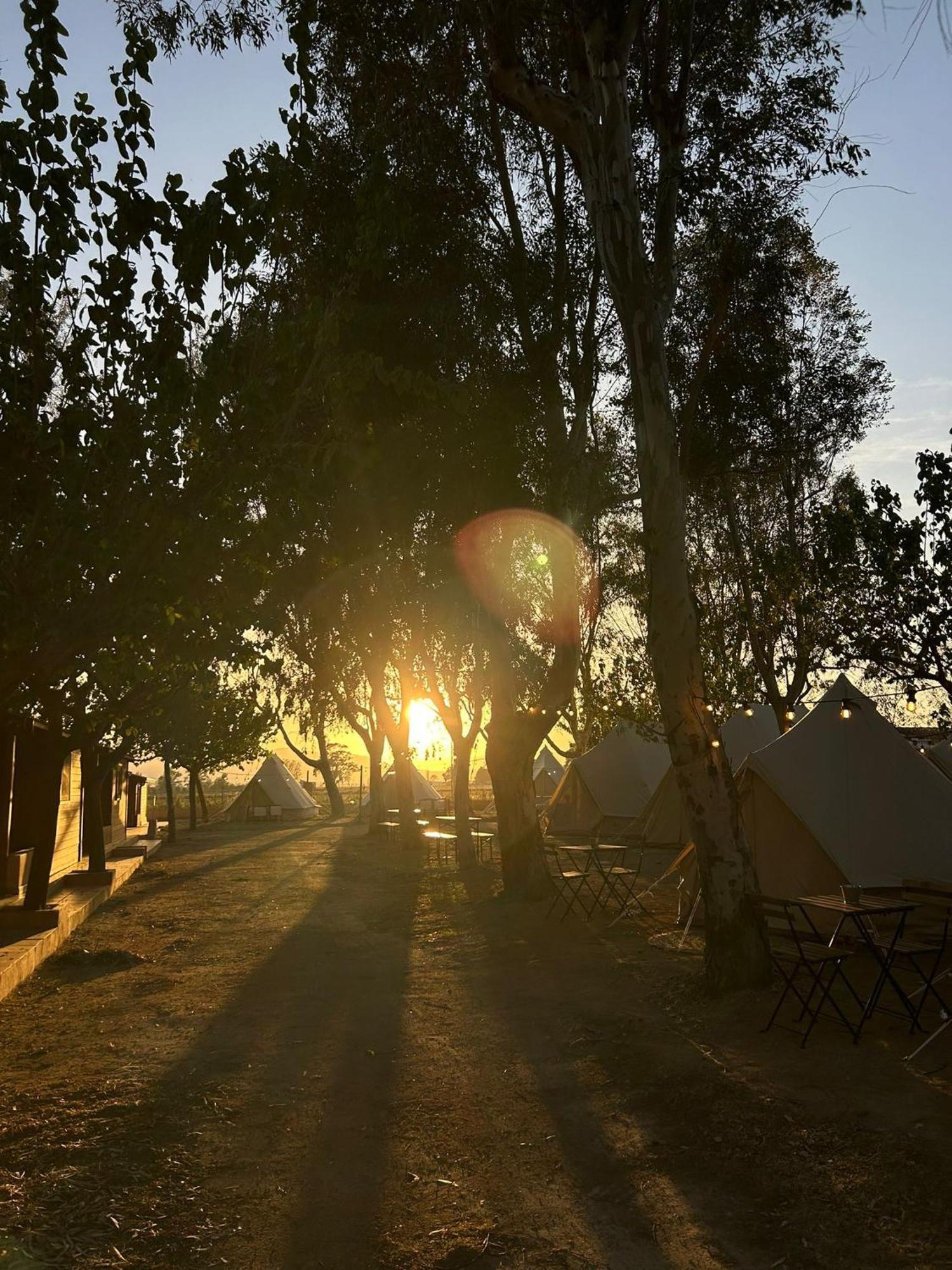 Camping Delta Natura La Tancada อัมโบสตา ภายนอก รูปภาพ