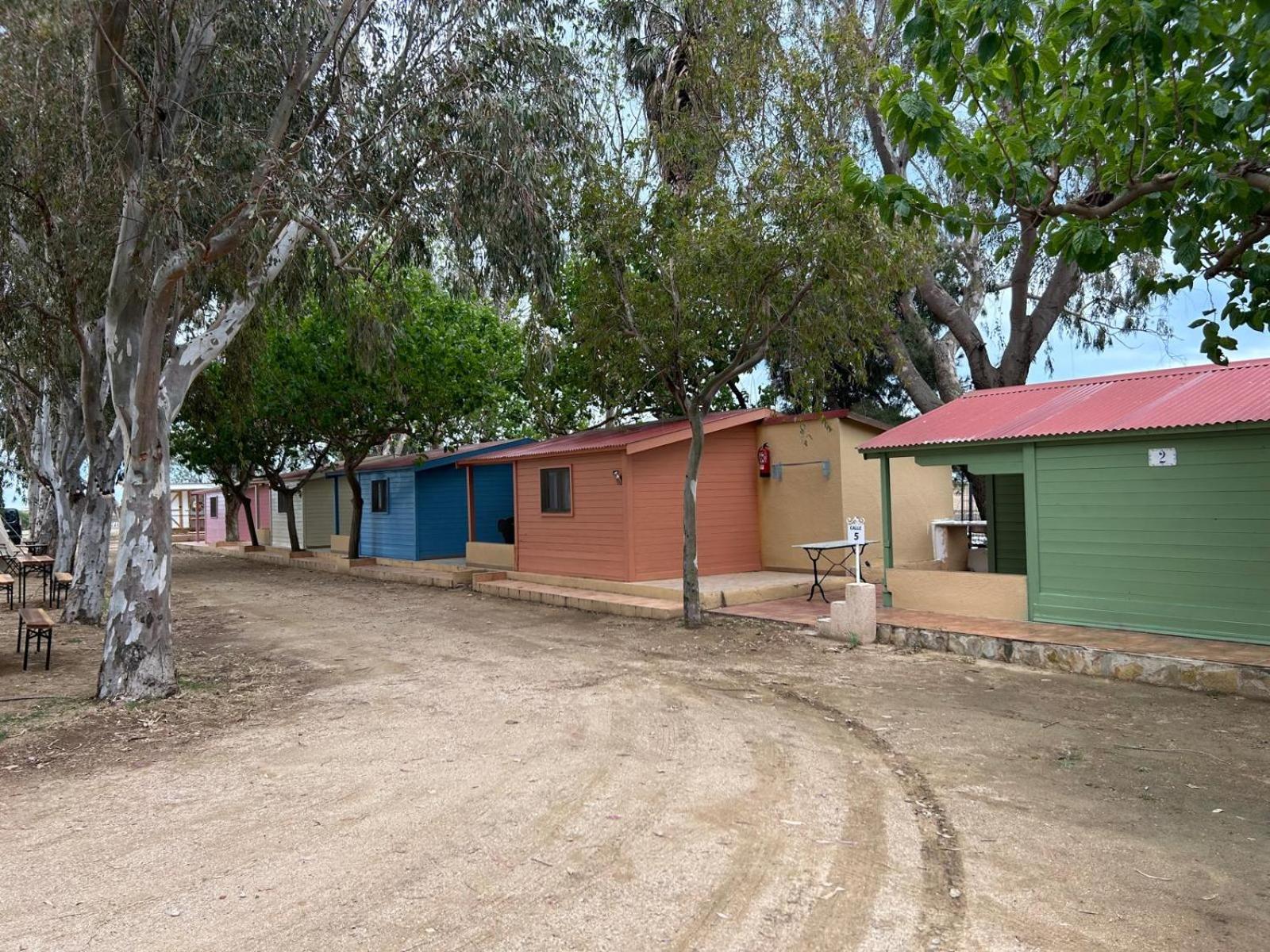 Camping Delta Natura La Tancada อัมโบสตา ภายนอก รูปภาพ