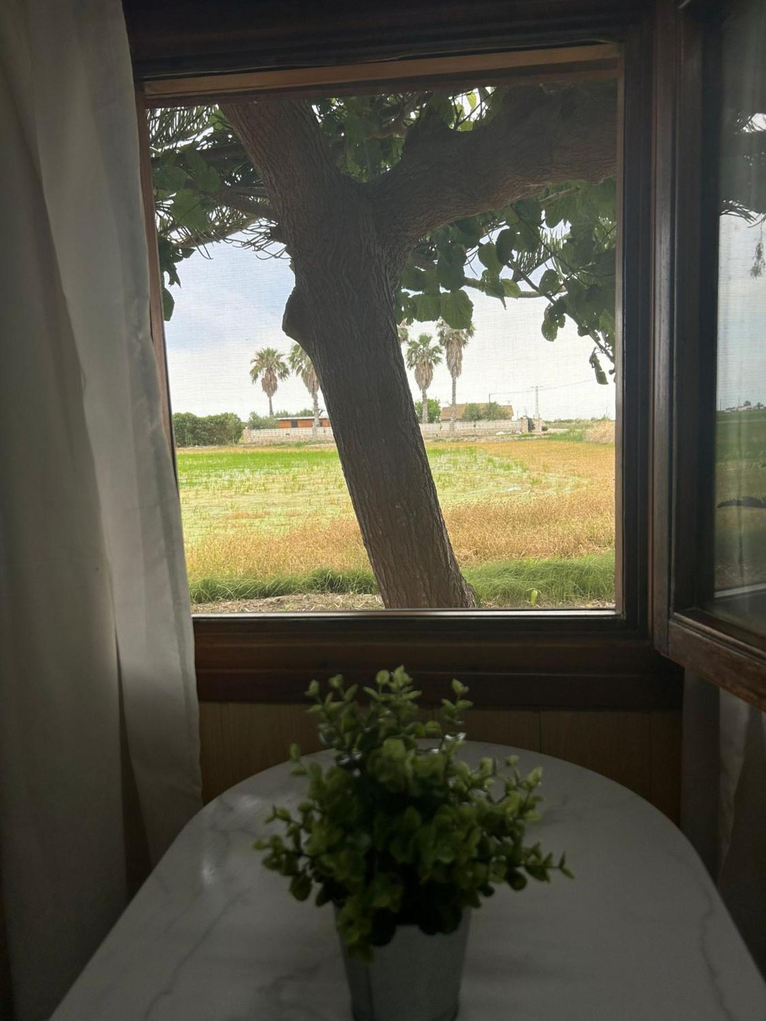 Camping Delta Natura La Tancada อัมโบสตา ภายนอก รูปภาพ